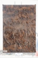 "Tallinn. E" digitükk 2013